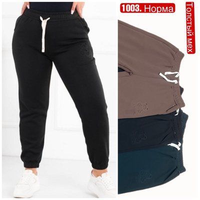 Женские брюки на плотном меху №ТА1003 р.M/L,L/XL,XL/2XL (44-52) микс ТА1003 фото