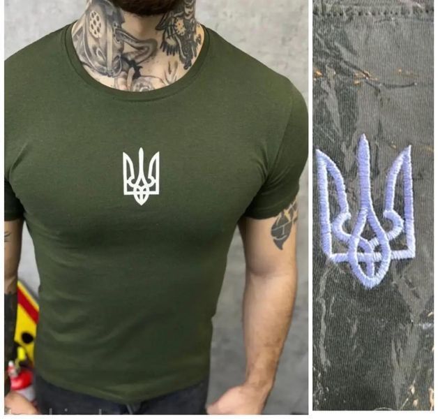 Чоловічі футболки №F80-10 р 46,.48,50,52,54 F80-10 фото