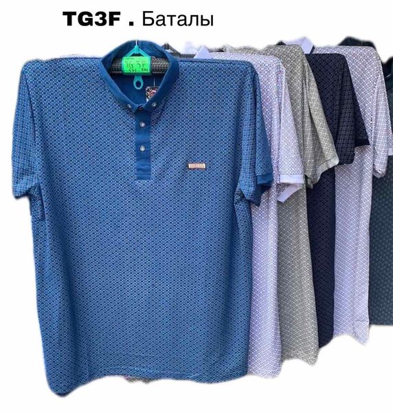 Мужская футболка №TG3F р.5XL-7XL (56-64) микс TG3F фото