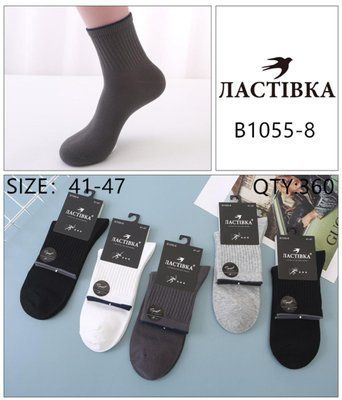 Чоловічі шкарпетки "Ластівка" №В1055-8 р.41-47 з тенісною резинкою В1055-8 фото