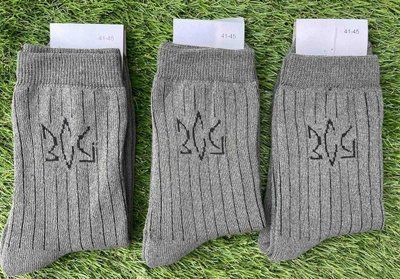 Чоловічі шкарпетки на махрі "Happy Socks" №НА15 р.41-45 НА15 фото