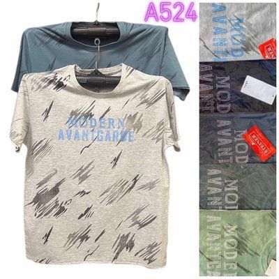 Мужская футболка №А524 р.2XL-5XL (48-54) микс А524 фото