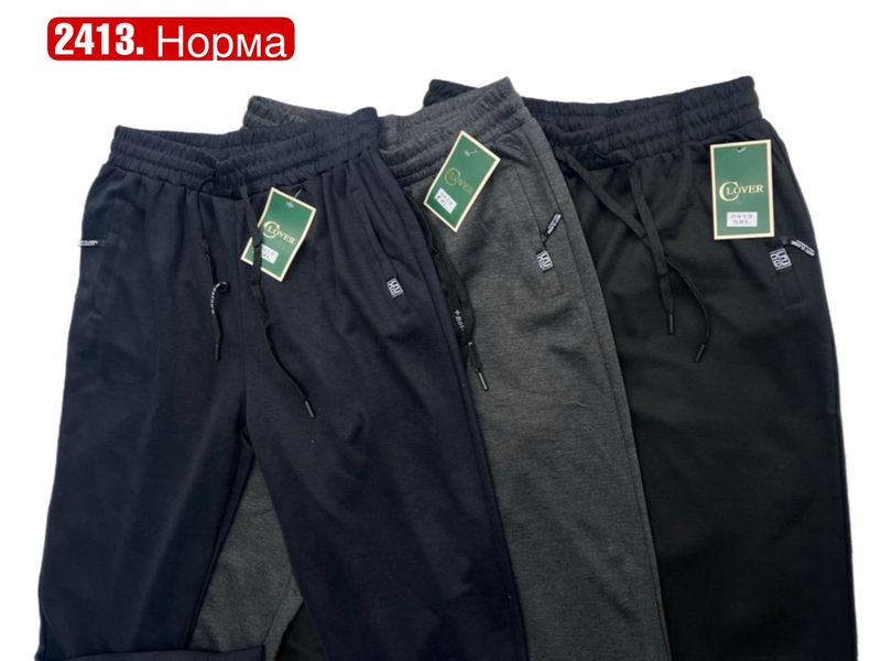 Чоловічі спортивні штани на манжеті №2413 р.XL-5XL 2413 фото